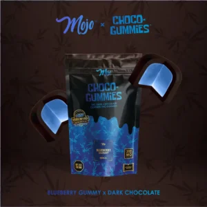 Choco-Gummies - Dark Chocolate - Blueberry - 200mg